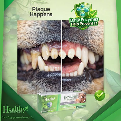 Healthy Surplus 4 Oz - Enzymatic Dog Toothpaste (Poultry - Chicken Flavor) for Dogs & Cats - Fresh Breath, Plaque & Tartar Control - Advanced 5-Enzyme Pet Toothpaste