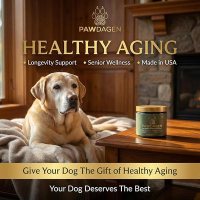 Dog Longevity Supplement - NMN, Lions Mane, Curcumin, CoQ10 All Breeds & Ages + Senior Dog Vitamins - 14 Ingredients - Cellular Vitality, Brain Health - Made in USA - 1-3 Months Supply