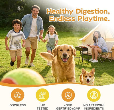 Pancreatic Enzyme Powder for Dogs - 10X High Potency Pancreatin Supplement (285g/10oz) - Supports Nutrient Absorption, Improves Digestive Health for Pets
