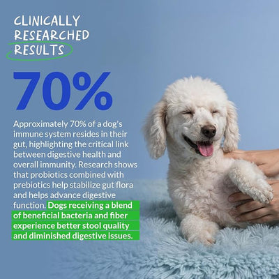 Probiotics for Dogs 90 Soft Chews - Digestive, Gut & Diarrhea | Vet-formulated probiotic with multiple strains. Supports gut health, immune function & relieves diarrhea & digestive issues.
