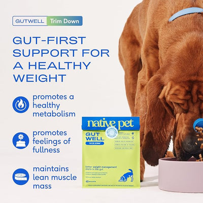 Native Pet GutWell Trim Down - Weight Management Dog Food Topper & Weight Loss Supplement Promotes Feelings of Fullness, Healthy Metabolism & Lean Muscles with Triple-Biotic & L-Carnitine - 60 Scoops