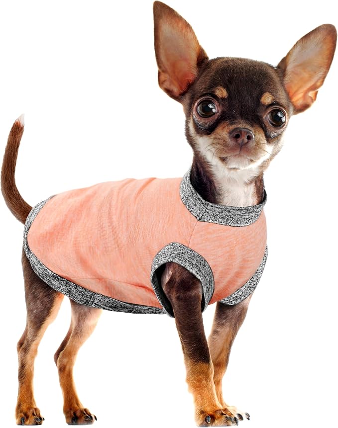 Chic Ion Polyester Dog Vest: Adorable Fashion Apparel for Small, Medium, and Large Breeds - Moisture-Wicking, Soft, Anti-Static, Durable, Easy-to-Clean Shirt - Orange S