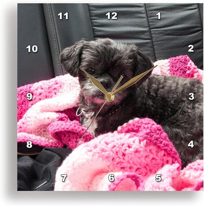 3dRose A Sweet Black Doggie on a Pink Blanket in Back seat of car 15x15 Wall Clock