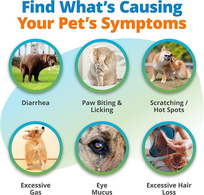 5Strands Raw & Fresh Pet Food Intolerance Test, at Home Gut Health Test for Dogs & Cats, 400+ Raw & Gently Cooked Fresh Food Items Tested, Accurate for All Ages & Breeds, Fast 4 Day Results