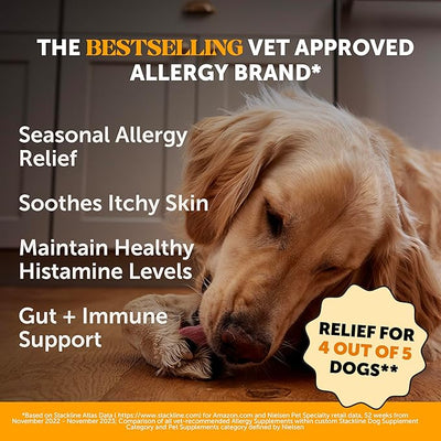 Chlorhexidine Shampoo + Allergy Support Soft Chew Virtual Bundle - All-Natural Dog Vitamins, Fish Oil for Dogs, Omega 3 for Dogs, Itch Relief, Shiny Dog Coat, Dog Shampoo for Allergies