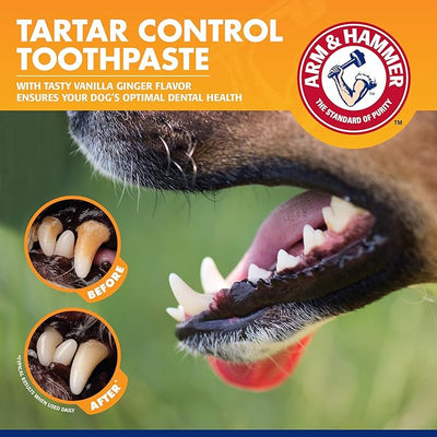 Arm & Hammer for Pets Tartar Control Dental Training Kit for Puppies, Includes Dog Toothbrush, Toothpaste & Fingerbrush for Puppy Dental Health, Vanilla Ginger Flavor, 0.84 Oz - 60 Pack