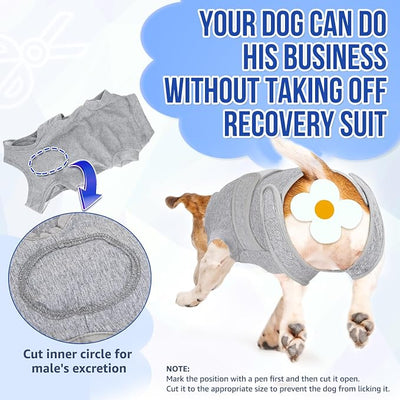 SlowTon Dog Surgery Recovery Suit - Zipper On Dog Onesies After Surgery for Female Male Dogs, Abdominal Wounds Bandages Cone/E-Collar Alternative Dogs Surgical Body Suit (Grey, XXL)