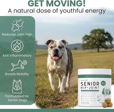 Glucosamine for Senior Dogs Hip and Joint Supplement, 120 Mobility Chews | Made with Glucosamine, MSM, Chondroitin, Green Lipped Mussels and More
