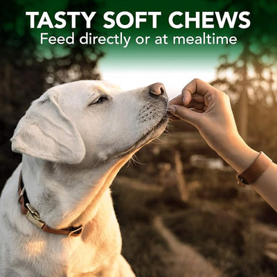 Vet's Best Seasonal Allergy Soft Chew Dog Supplements - Soothes Dogs Skin Irritation Due to Seasonal Allergies - Maintain Histamine Levels - 90 Day Supply