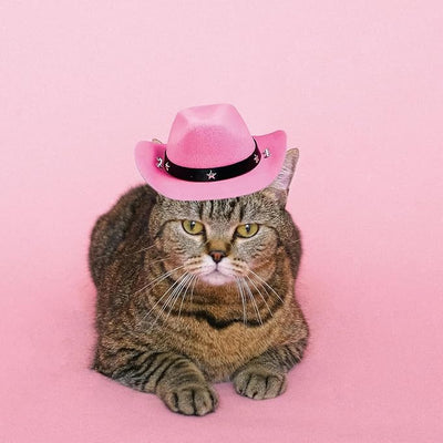 Pet Dog Costume Cowboy Hat Cosplay Cap Puppy Pet Dog Cat Holiday Pet Party Decoration (Pink)