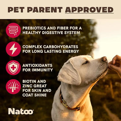 NATOO Biscuits for Small Dogs & Puppies, Oats & Berry, 8 oz | Crunchy Dog Treats, Rich in Omega 6, Prebiotics & Fiber, Antioxidants for Immunity, Healthy Natural Canine Biscuits