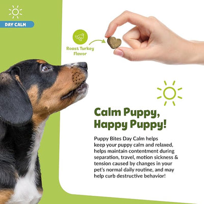 Snuggle Puppy Day Calm Puppy Bites with Colostrum, Chamomile & Ashwagandha - Calming Treats for Dogs to Support Restfulness & Sleep - 60 Soft Chew Dog Treats