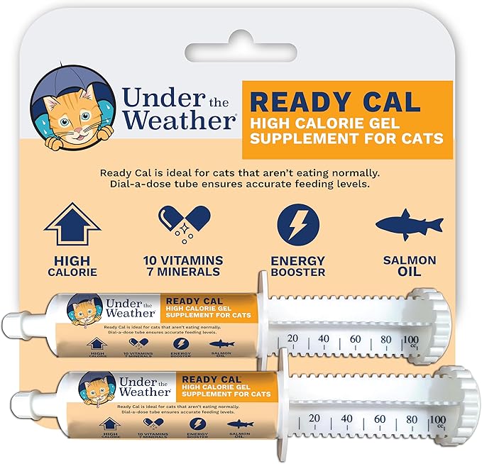Pet | Ready Cal for Cats 100cc | High Calorie Supplement | Cat Weight Gainer and High Calorie Booster | 10 Vitamins, 7 Minerals & Omega Fatty Acids (2 Pack)