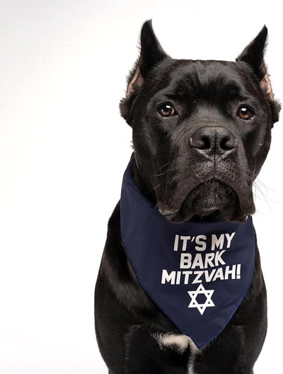 It's My Bark Mitzvah! Jewish Star Dog Bandana | 100% Cotton | Made in USA | Passover | Hanukkah | Yom Kippur | Rosh Hashanah | Jewish Celebration | Bar & Bat Mitzvah |Royal Blue, One Size (162)
