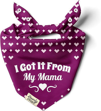 Funny Snap-On Dog Bandana for Small Medium Large Pets, Dogs Cats Adjustable Handkerchief Scarf for Girl & Boy, Cute Puppy Apparel & Accessories (Got It from My Mama, X-Large)