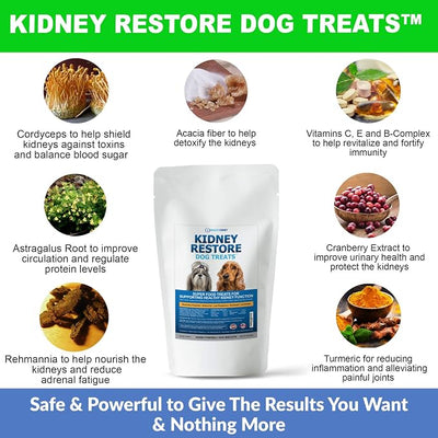 Kidney Restore Dog Treats (2 Pack) - Restorative, Low Protein Dog Treats for Kidney Health