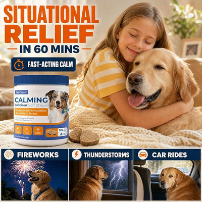 Calming Chews for Dogs — Melatonin Dog Calming Chews for Stress, Sleep Support & Thunderstorm Relief — Non-Drowsy Natural Soft Chews, Chicken Flavor, 100 Count