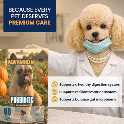 Probiotic Soft Chews for Dogs Gut & Digestive Support 60 Count