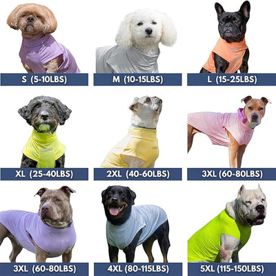 Spark Paws Sunblock Dog T-Shirt, SPF30 Protection, Lightweight Breathable Quick Dry for Dogs with Sensitive Skin - Bees & Watermelon (Set of 2) - Size XL
