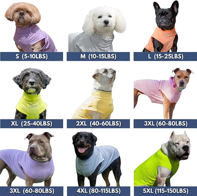 Spark Paws Sunblock Dog T-Shirt, SPF30 Protection, Lightweight Breathable Quick Dry for Dogs with Sensitive Skin - Berries & Peaches (Set of 2) - Size 3XL