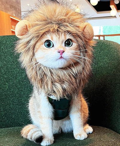Lion Mane Wig for Cat Costume Pet Adjustable Washable Comfortable Fancy Lion Hair Cat Clothes Dress for Halloween Christmas Easter Festival Party Activity (Small, Brown)
