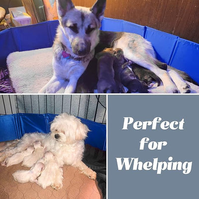 Artilife Whelping Box for Dogs Welp Box Whelping Pool,Puppy Whelping Pen for Puppies,Birthing for Dogs (63inch Dia.x12inch H(160x30cm), Blue)