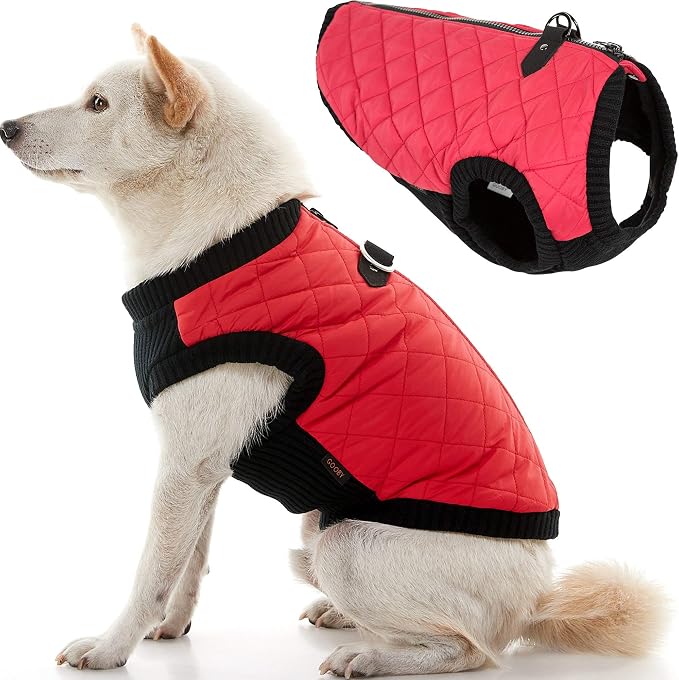 Fashion Vest Dog Jacket - Red, Large - Warm Zip Up Dog Bomber Vest with Dual D Ring Leash Water Resistant for Small to Medium Dogs