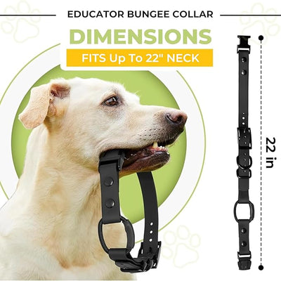 eCollar Replacement Strap Bungee Style - Waterproof Collar Compatible with Garmin, Dogtra, SportDOG, Educator (Black, 3/4")