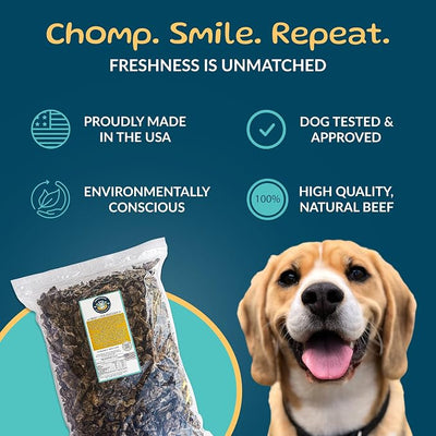 TREATOPIA Beef Lung Nuggies Dog Treats – Single Ingredient, High Protein, Low Odor, Natural Crunchy Training Treats for Dogs – USA Sourced, Grain-Free, All-Natural (4 lb Bag)