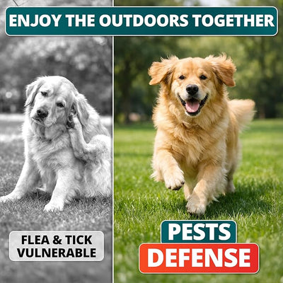 Flea and Tick Prevention for Dogs Chewables - Natural Dog Flea and Tick Treatment - Oral Control Pills - Vet Recommended Supplement - Skin & Coat Support Soft Chews - All Breeds & Sizes Made in USA