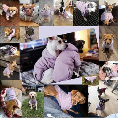 Jecikelon Soft Dog Hoodies for Small Dogs, Fleece Puppy Sweatshirt with Pockets, Warm Winter Cold Weather Coats for Pet Cat, Cute Clothes Puppy Costume (Purple, XX-Small)