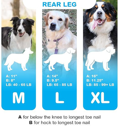 Standard Rear Splint for Dogs with Injuries, Arthritis, Fractures or Sprains, Durable & Lightweight Rear Splints for Rehability Treatment & Post-Surgery Protection for Pets - L