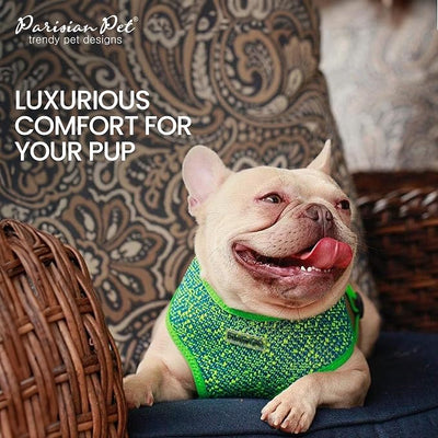 Parisian Pet Dog Harness - Breathable Mesh Green Blue No Pull Puppy Harness with Leash Ring - Adjustable Harnesses for Dogs - Soft Padded Step-in Pet Vest - Lightweight Dog Vests for Small Sized Dogs
