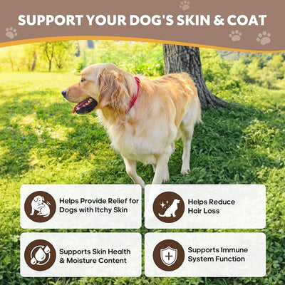 Dog Allergy Relief Chews Immune Support for Dogs with Probiotics for Itchy Skin and Hot Spots Allergies Relief, Paw Licking, Dry Skin & Coat Supplement Itching Relief Bites - 120 Ct