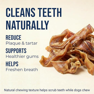 K9warehouse Pig Ears for Dogs - Natural Bulk - 100% Pork Pig Ear Strips for Dogs - Alternative to Rawhide Chews - Thick Cut Pig Ears for Dog Treats for All Breeds Packed in USA - 16oz