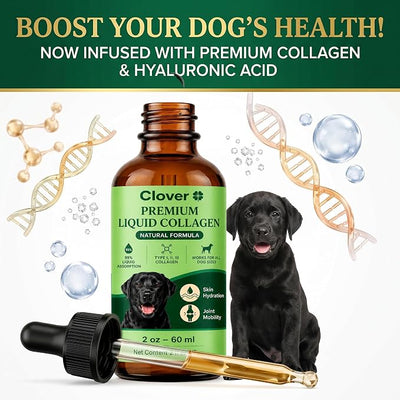 Clover Collagen for Dogs, Triple Hydrolyzed Liquid Collagen Peptides with Glucosamine and Hyaluronic Acid, Joint Mobility Support, Skin and Coat Supplement Drops (2PCS)