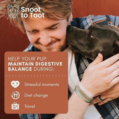 Dog Probiotics with Prebiotics, Digestive Enzymes, Pumpkin Fiber & Colostrum, Daily Gut Health Support for Diarrhea, Gas & Bloating, Six-Strain Probiotic Blend, 60 Beef Flavor Chews