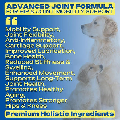 Glucosamine Joint Supplement for Dogs Joint Pain Relief – Glucosamine Chondroitin MSM & Turmeric Hip & Joint Support Chews for Large & Senior Dogs – 120 Ct