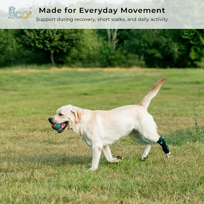 Dog Hock Brace for Ankle Support & Arthritis, Vet Approved Dog Back Leg Brace, Adjustable with Removable Splints, Orthopedic Support for Injuries, Sprains & Post-Surgery Recovery (X Small)