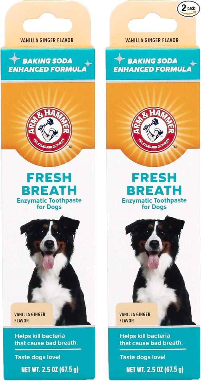 Arm & Hammer for Pets Fresh Breath Enzymatic Dog Toothpaste Vanilla Ginger Flavor Baking Soda Dental Gel Eliminates Bad Breath Safe Puppies Adult Dogs Daily Use 2.5 OZ 2 Pack Dogs and Puppies