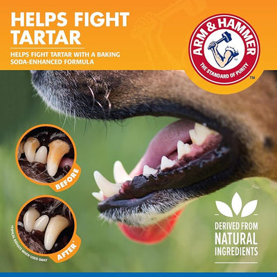 Arm & Hammer Clinical Care Dental Rinse for Adult Dogs, Odorless Flavorless Water Additive for Daily Plaque, Tartar, and Bad Breath Control, Baking Soda Enhanced Formula, 16 Fl Oz - 24 Pack