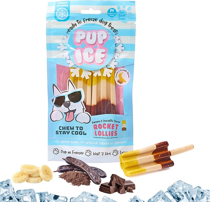 Pup Ice Dog Treats – Freeze-at-Home Edible Chews for Medium Breed Dogs & Puppies, Banana & Carob Flavor (No Chocolate), 2ct Rocket Lollies with Real Chicken
