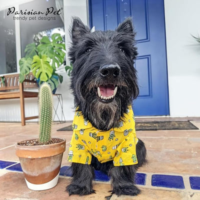 Parisian Pet Cactus Dog Shirt - Cotton Clothes for Small Dogs - Stylish Tropical Yellow Dog Outfit - Lightweight and Soft Puppy Clothes - Trendy Tshirts for Dogs - Comfortable Summer Camp Pet Apparel