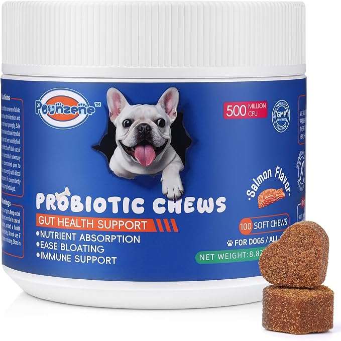 Probiotics Chews for Dogs Gut Digestive Health, Dog Upset Stomach Relief and Occasional Diarrhea, Boost Immune Systems - Prebiotics and Probiotics for Dogs, Salmon Flavor, 100 Soft Chews