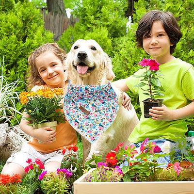 Lionheart Glory Floral Dog Bandana for Spring Summer - 1 Pack Washable Soft Scarf, Square Adjustable for Small Dogs