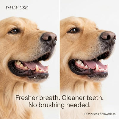 Aroven Dental Dog – Odorless & Flavorless Formula, Helps Freshen Breath and Support Oral Hygiene, 200ml (1pc)