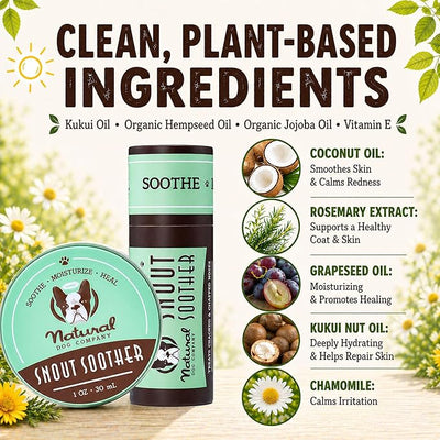 Natural Dog Company Snout Soother Dog Nose Balm – Moisturizer for Dry Crusty Noses, Summer Care for Outdoor Dogs, Hot Weather, Beach Days & Walks with Coconut Oil & Shea Butter, 2 oz Tin