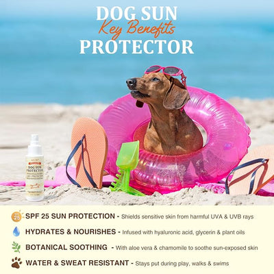 Dog Sun Protection Spray – Lightweight, Oil-Based UV Shield for Sensitive Skin | Soothing & Moisturizing Formula with Aloe, Calendula and Oat – Essential for Short & Light-Colored Coats