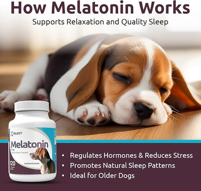 K9 Select Melatonin for Dogs - Calming Aid - Adrenal Support Sleep Aid - Reduce Stress, Pet Melatonin Treats for Medium Sized - 3 mg, 120 Peanut Butter Flavored Tablets