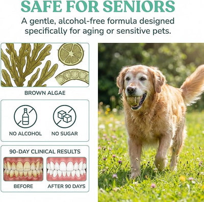 Milolabco Probiotic Dental Spray, Milo Lab Co Dentaclean Spray for Dogs, Freshens Breath, Supports Healthy Gums & Teeth, with Probiotics, Calendula Extract & Brown Algae, 100 ml/3,38 Oz